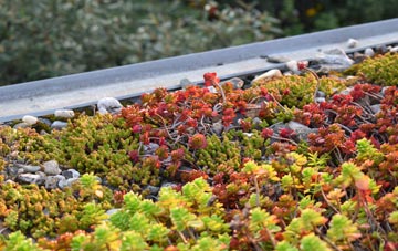 the cost of Potthorpe green roof installation