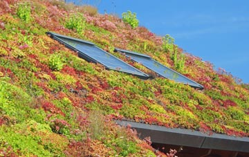 Potthorpe living roof systems