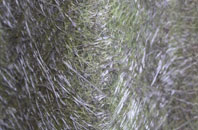 Potthorpe fibreglass roof work